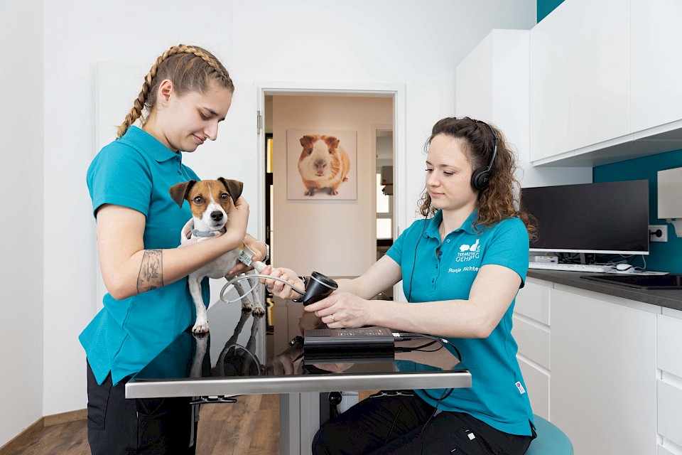 Tierarztpraxis innere Medizin