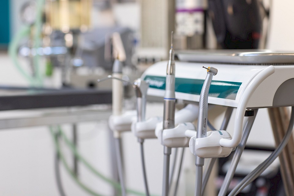 zahnheilkunde bei tieren