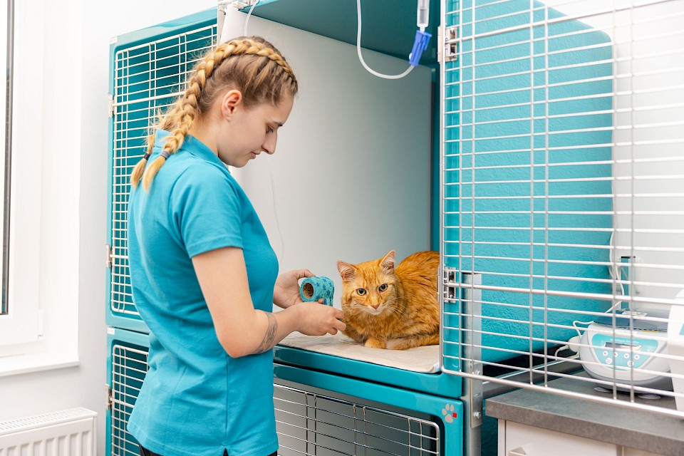 Glasfaserboxen für Heimtiere